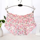 Soft Briefs Women Underpants Seamless Lingerie Briefs Hipster Underwear Panties Sexy Ladies Girls Panties Intimates Lingerie - rjas10coolstuff