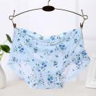 Soft Briefs Women Underpants Seamless Lingerie Briefs Hipster Underwear Panties Sexy Ladies Girls Panties Intimates Lingerie - rjas10coolstuff