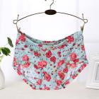 Soft Briefs Women Underpants Seamless Lingerie Briefs Hipster Underwear Panties Sexy Ladies Girls Panties Intimates Lingerie - rjas10coolstuff