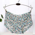 Soft Briefs Women Underpants Seamless Lingerie Briefs Hipster Underwear Panties Sexy Ladies Girls Panties Intimates Lingerie - rjas10coolstuff
