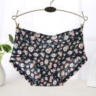 Soft Briefs Women Underpants Seamless Lingerie Briefs Hipster Underwear Panties Sexy Ladies Girls Panties Intimates Lingerie - rjas10coolstuff