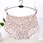 Soft Briefs Women Underpants Seamless Lingerie Briefs Hipster Underwear Panties Sexy Ladies Girls Panties Intimates Lingerie - rjas10coolstuff